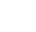 x icon
